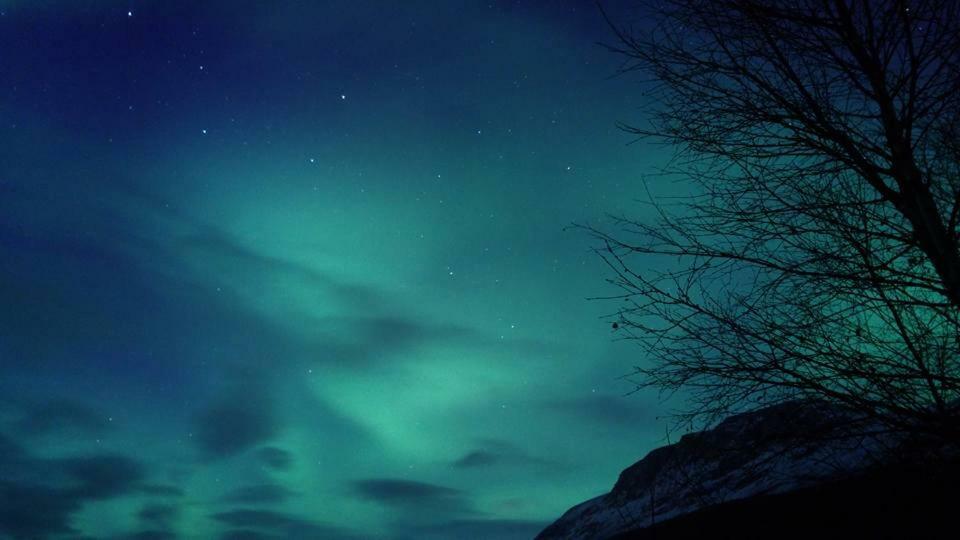 Ballangen Camping Narvik Extérieur photo