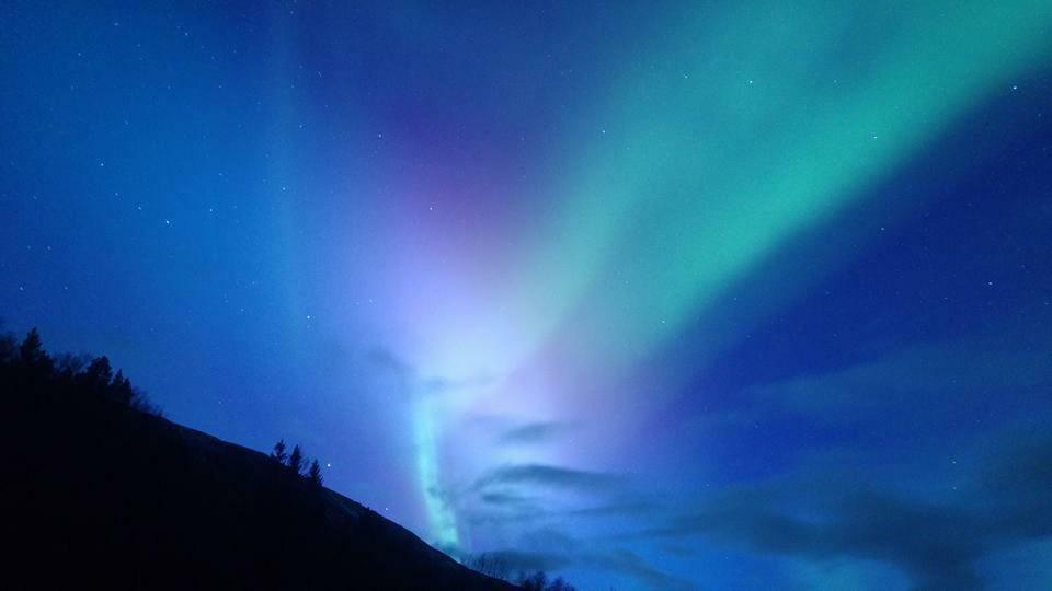 Ballangen Camping Narvik Extérieur photo