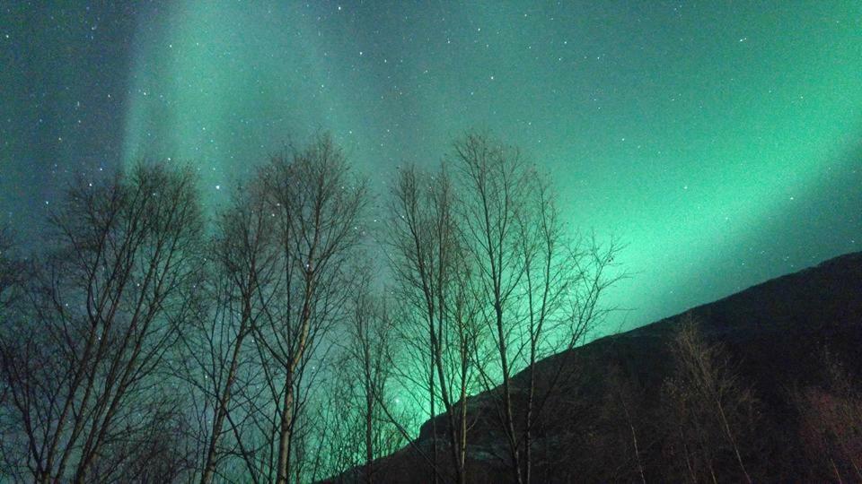 Ballangen Camping Narvik Extérieur photo
